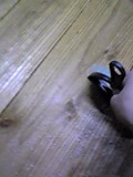 d0007957_23474119.jpg
