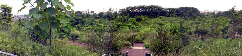 f0014658_13284076.jpg