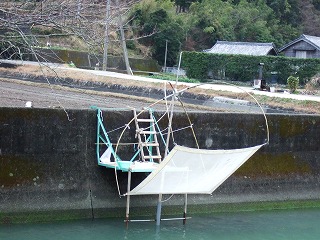 椿自然園へ　徳島県阿南市」_a0026567_16264566.jpg