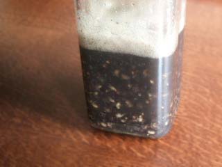 自家製酵母（黒豆煮汁＋玄米）液種_c0110869_1426124.jpg