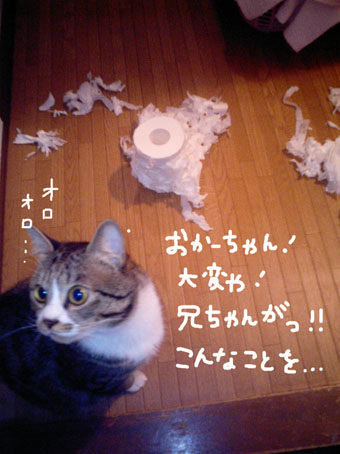 a0084070_2256115.jpg