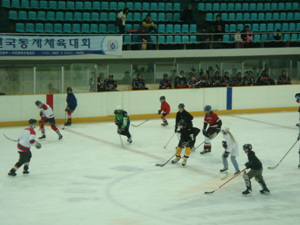 f0008573_13101518.jpg