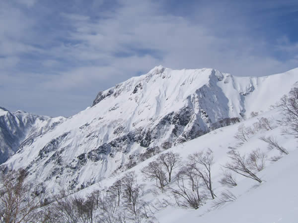 d0079579_183669.jpg