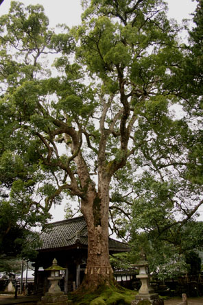 a0045381_033943.jpg