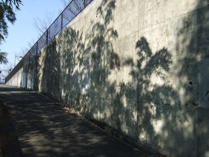 c0002682_23351966.jpg