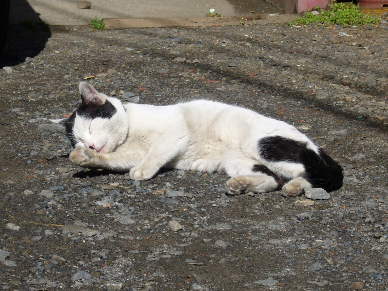 e0102099_20462982.jpg