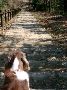 a0040103_20113097.jpg