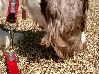 a0040103_20173151.jpg