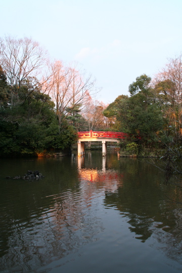 f0015003_0364574.jpg