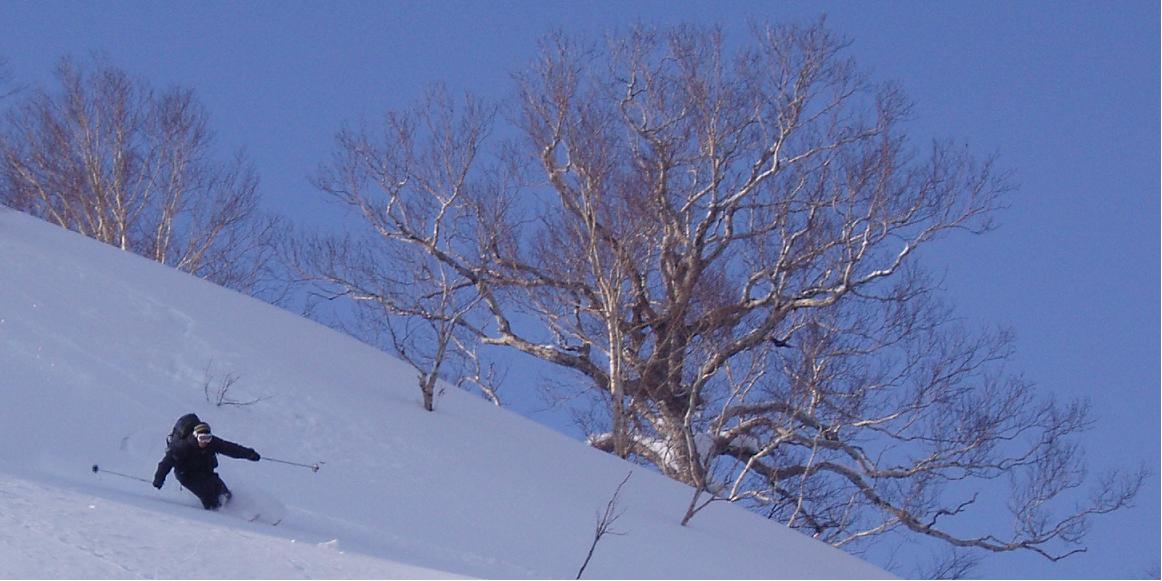 f0128733_20492783.jpg