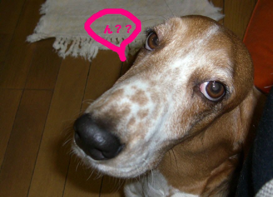 e0117138_23341281.jpg