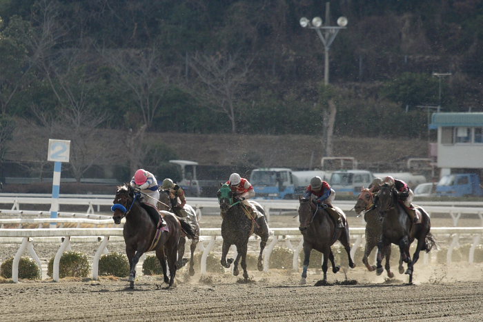 赤岡修次騎手、通算勝利900勝達成！！_a0077663_9442389.jpg