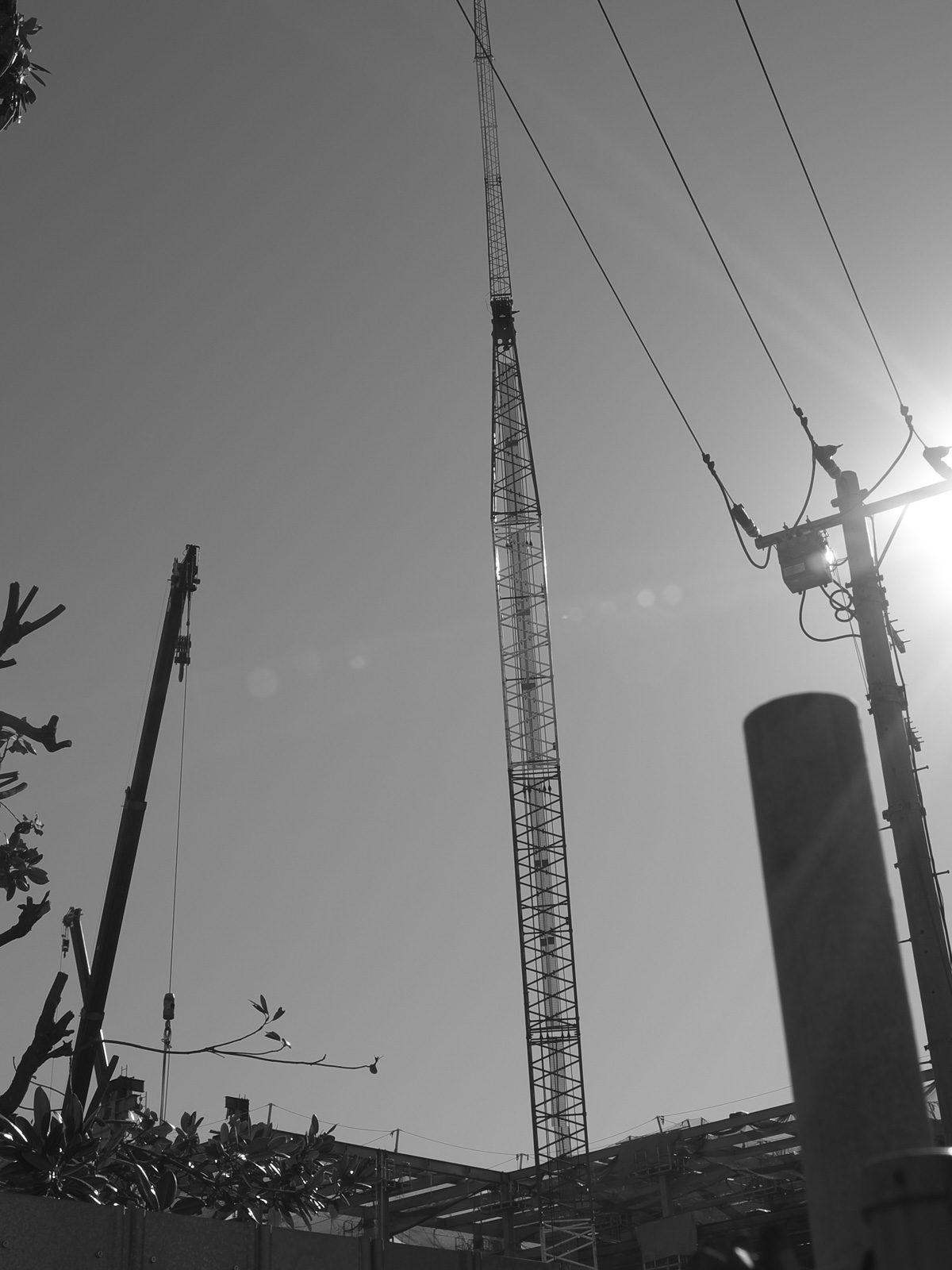 f0121181_1294349.jpg