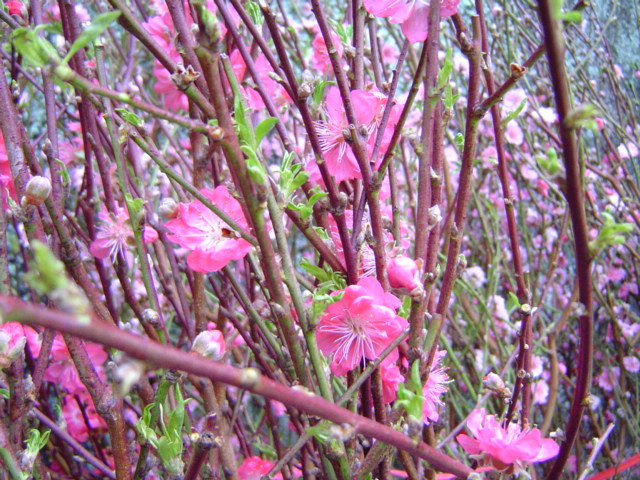b0027290_023117.jpg