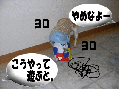 2007/2/18(日) うずちゃんの宝物_b0097394_1313039.gif