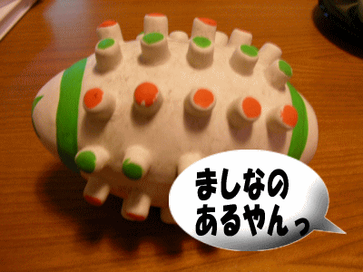 2007/2/18(日) うずちゃんの宝物_b0097394_140316.gif