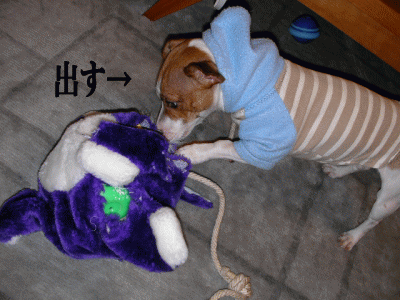 2007/2/18(日) うずちゃんの宝物_b0097394_1555355.gif