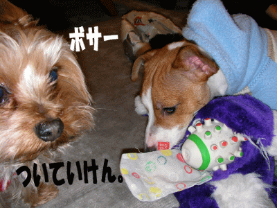 b0097394_214158.gif