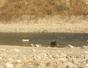 f0109202_22292748.jpg