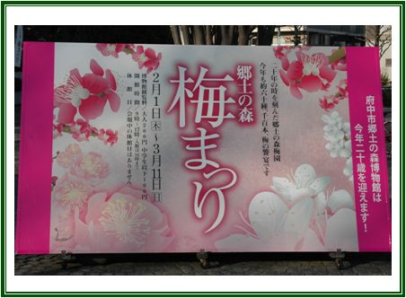 府中市郷土の森の梅_c0051105_22335223.jpg