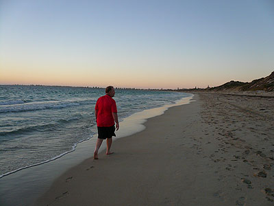 ::: Bird research at the Warnbro beach :::_b0038810_11303780.jpg