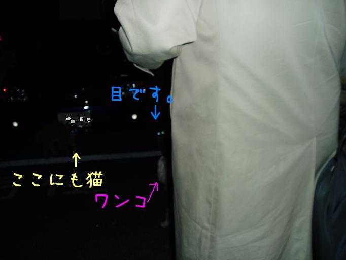 e0035711_21463558.jpg