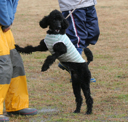 JFA　公式選手権　IN　三重久居　2日目_f0108112_23102212.jpg