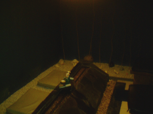 d0038319_10659100.gif