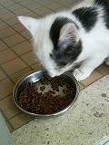 よく食べ、よく寝て_b0000829_17593511.jpg
