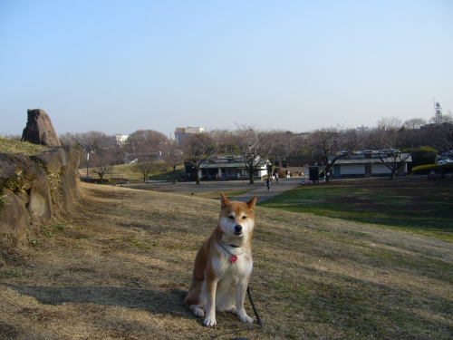 四季の森公園ふれあいの森_d0099829_2250528.jpg