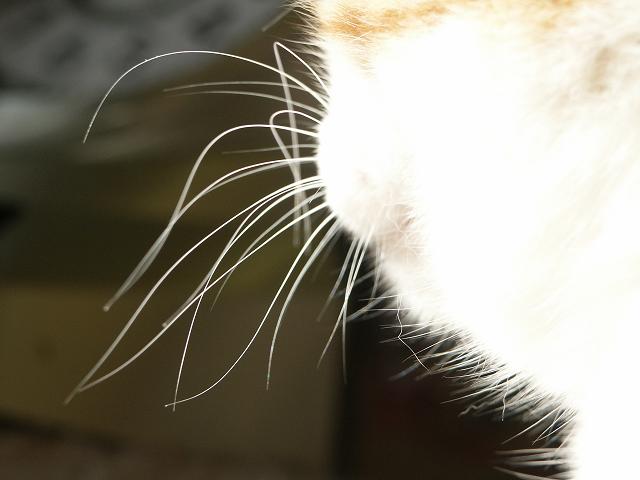 b0019333_23145716.jpg