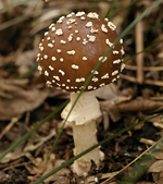 f0108133_22573742.jpg