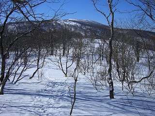 ２月２０日（火）晴天の雄国山（１２７１．２ｍ）独り占め_f0003138_12372395.jpg