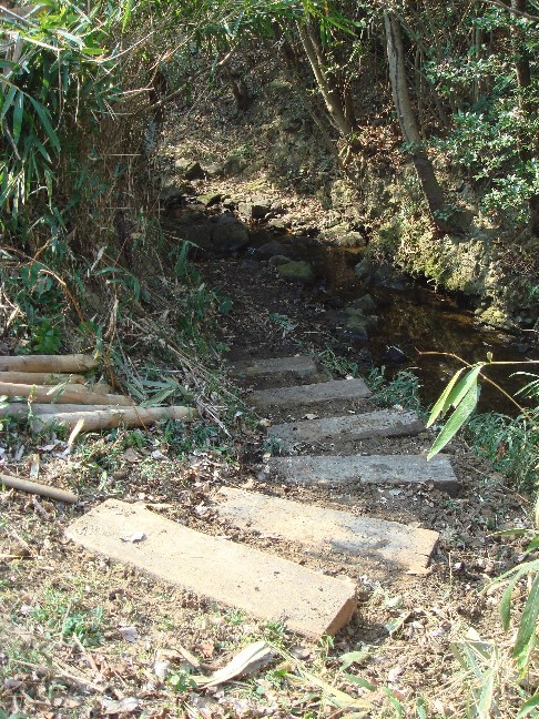 c0108460_17355620.jpg