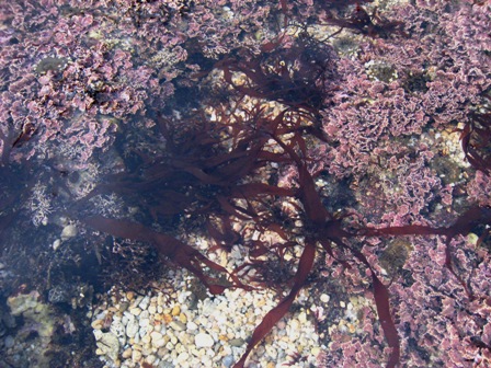 e0015964_23261612.jpg