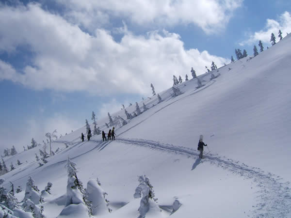 d0079579_2121525.jpg