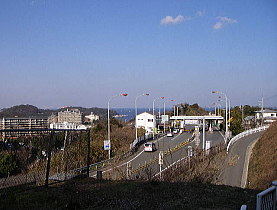 梅の香りで早い春を実感　塚山公園、田浦梅の里ウォーク①_c0008598_20414788.jpg