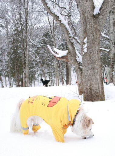 雪遊びバスツアー　その２　／　Snow Bus Tour Part 2_a0032004_1646172.jpg