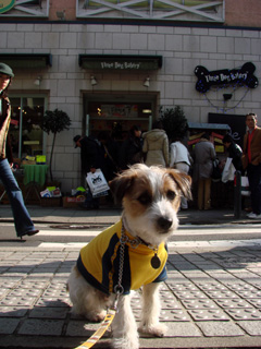 f0080105_21717.jpg