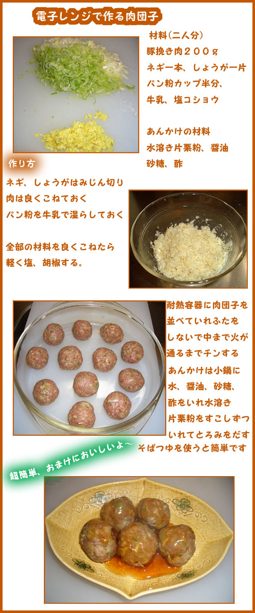 チョー簡単　肉団子_b0019313_17592598.jpg