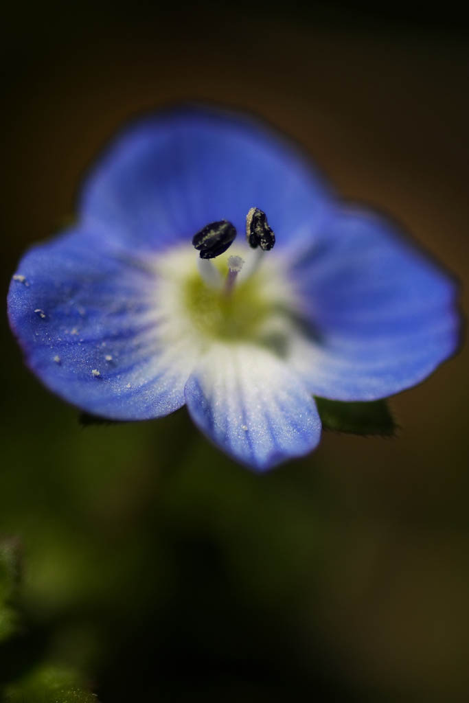 d0085715_0244027.jpg