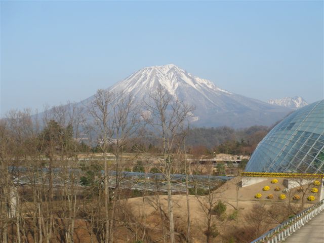 冬の花回廊～大山そば～_b0102728_1271677.jpg