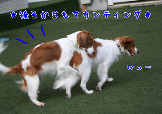 d0013149_00822.jpg