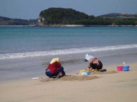 阿久根市、脇本海岸_e0094349_1134436.jpg