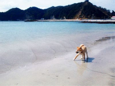 2007年2月22日(木)・・・ご近所とのお付き合い_f0060461_21483779.jpg