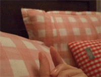 f0105276_4452998.gif