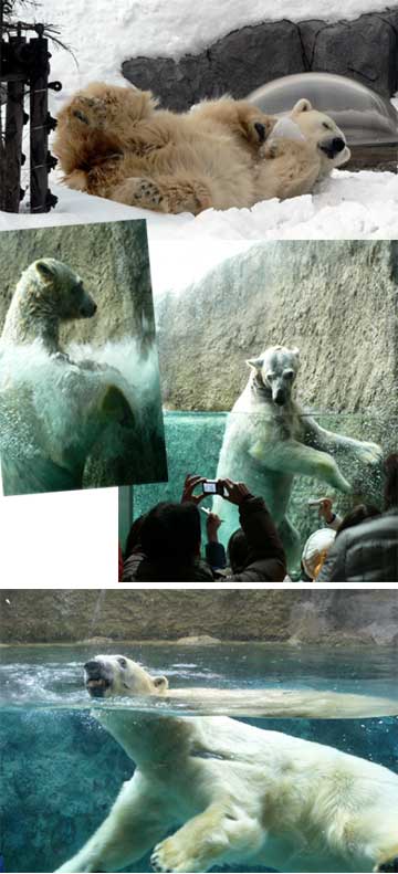 f0083977_23462098.jpg