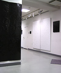 大西壮一郎 個展_f0106896_14302461.jpg