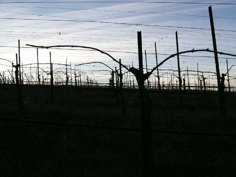 f0007498_59981.jpg