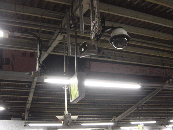 b0041903_29287.gif
